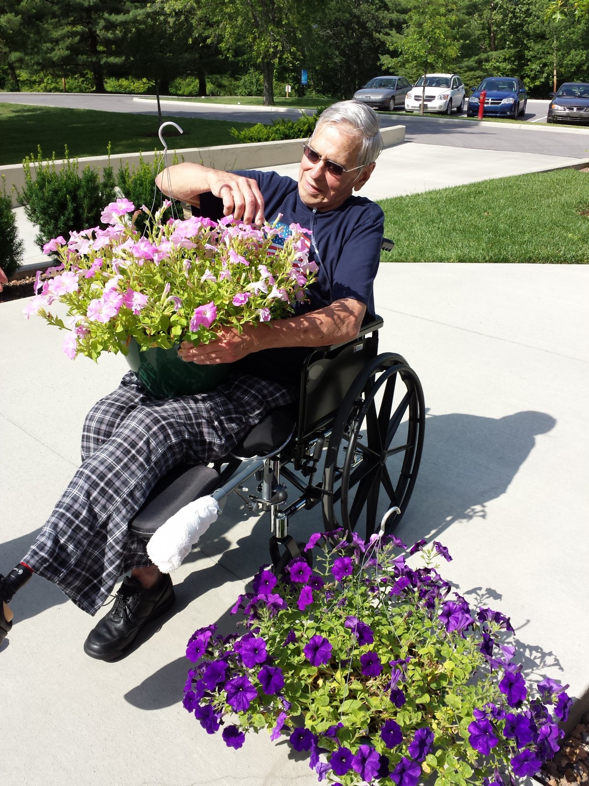 An elderly person in a wheelchair enjoying gardening on a sunny day.