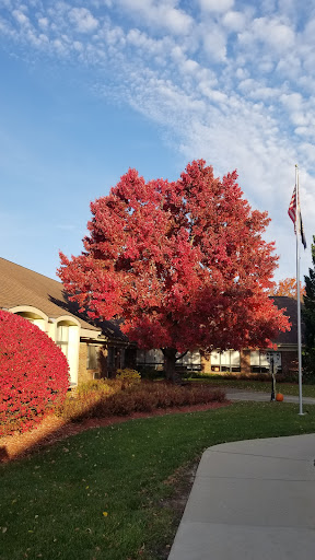 A vibrant red tree showcases its autumn colors in a peaceful residential setting.
