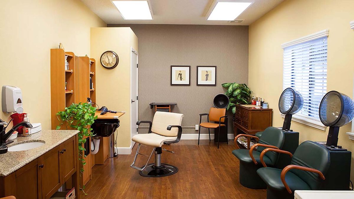 A cozy hair salon interior with stylish chairs, wall art, and potted plants.