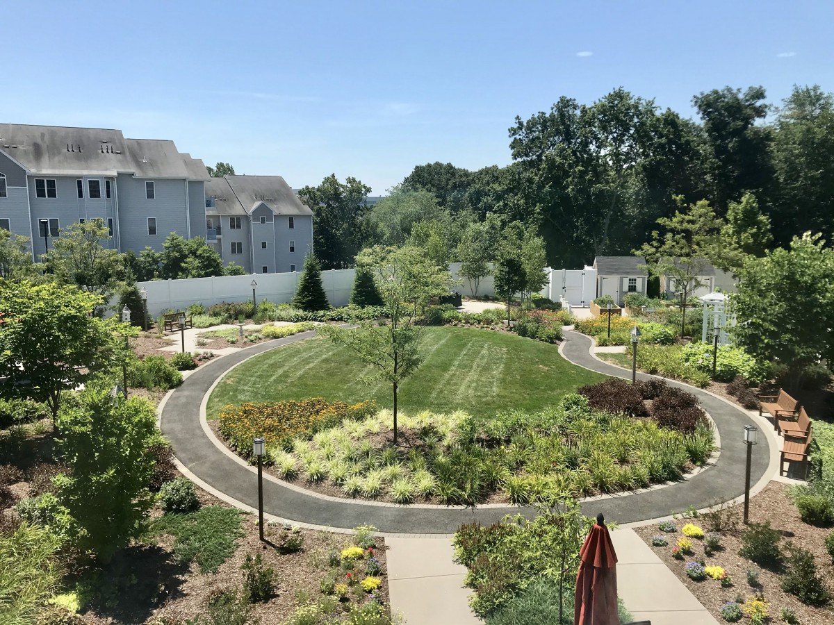 A beautifully landscaped garden featuring a circular pathway surrounded by various plants and trees.