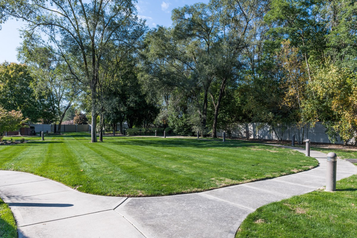 A serene park with lush green grass, surrounded by trees and a winding sidewalk.