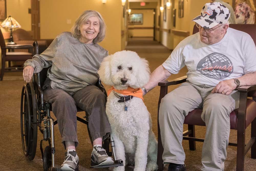Elderly individuals enjoying time with a therapy dog indoors.