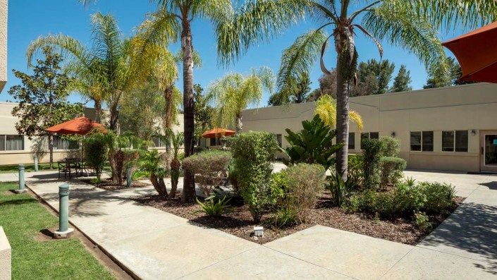 A well-manicured garden with palm trees and a paved walkway on a sunny day.