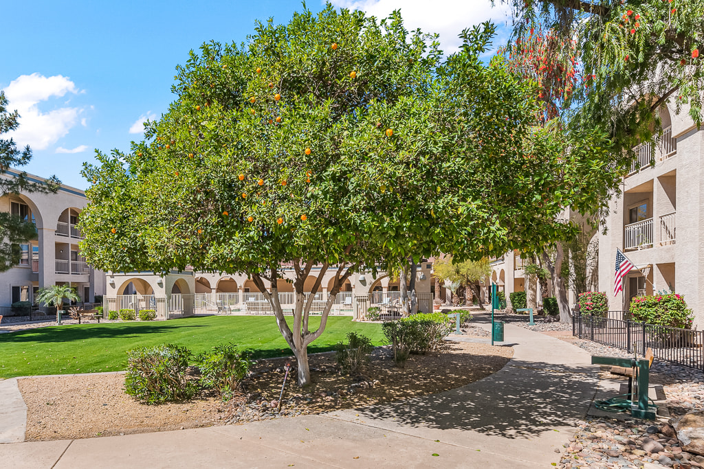 A sunny park setting with trees, a pathway, and architectural features in the background.