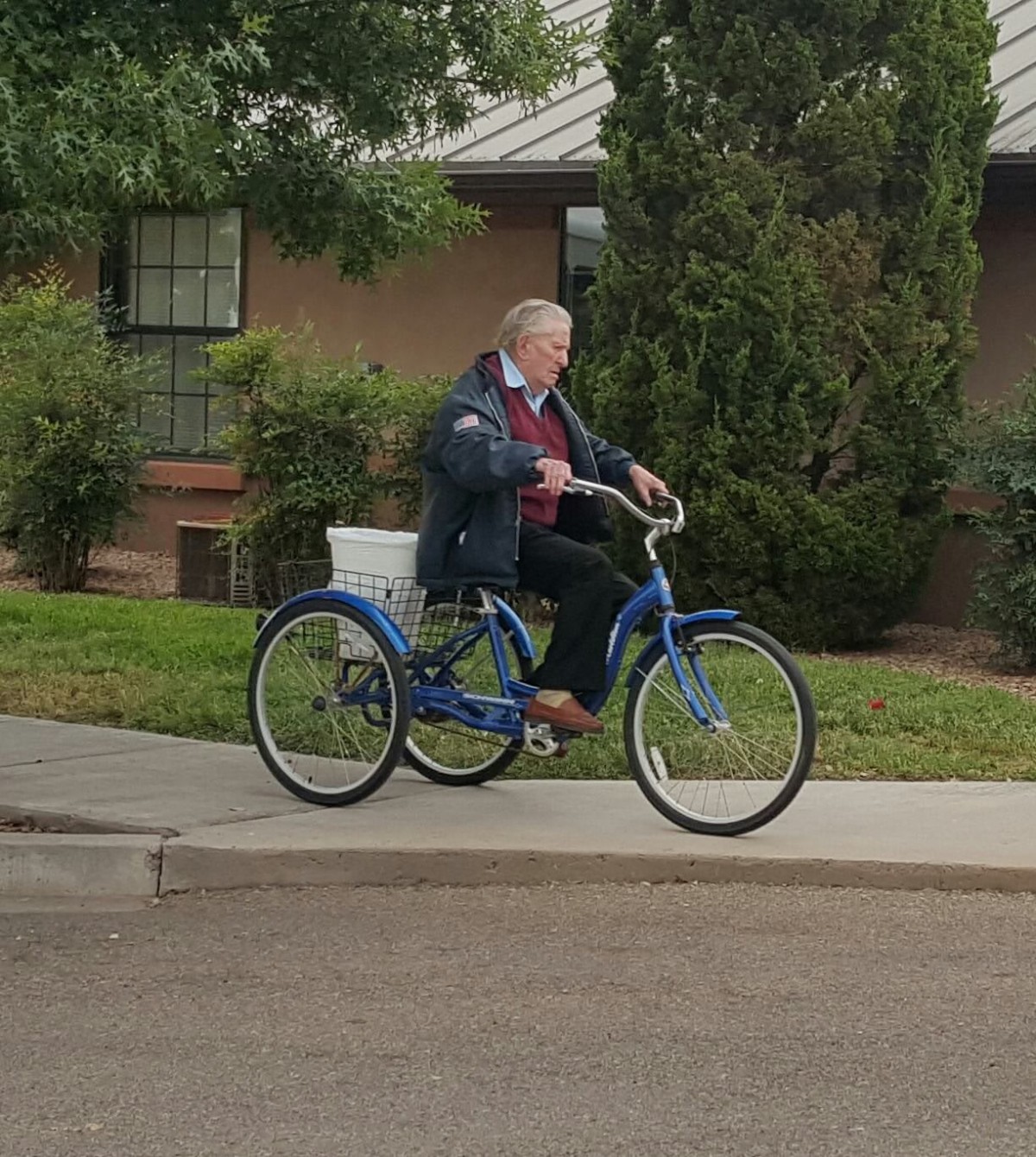 An adult riding a blue tricycle on a sidewalk near some trees.
