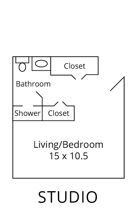 A floor plan showing a combined living and bedroom area with an attached bathroom, shower, and closets.