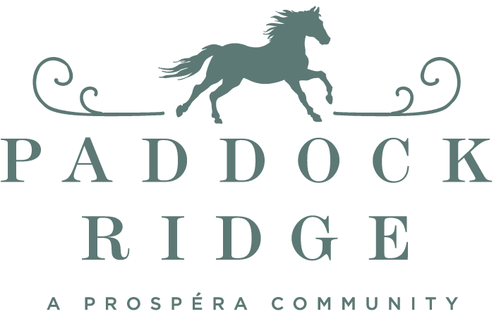 Logo with a horse design and text on a black background.