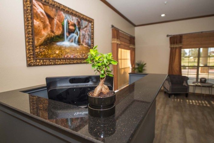 A sleek reception area featuring a bonsai plant and a waterfall painting.