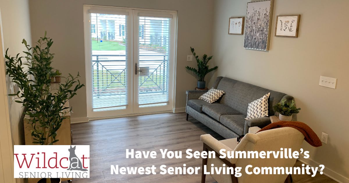 A modern senior living community apartment with cozy decor.
