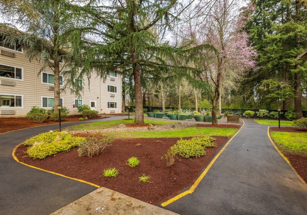 A well-maintained garden with a paved pathway, surrounded by trees and adjacent to a building.