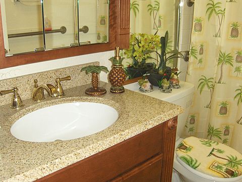 A tropical-themed bathroom with a decorative countertop and plants.