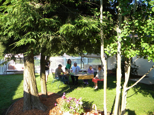 A sunny outdoor picnic where a group enjoys a meal together under the shade of trees.