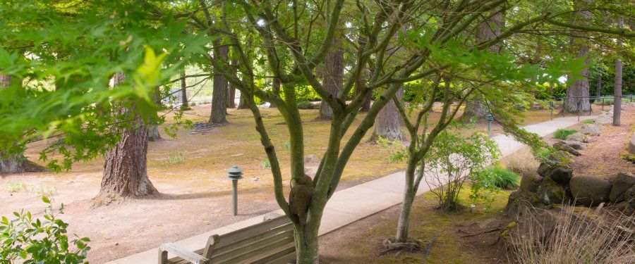 Woodland Heights Oregon