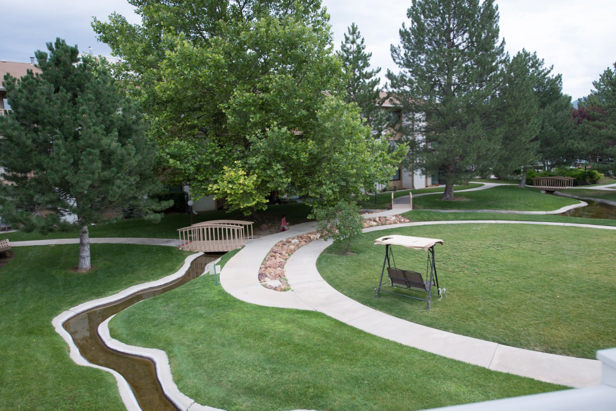 A serene garden scene with winding pathways, a small bridge, and a swing amidst lush greenery.