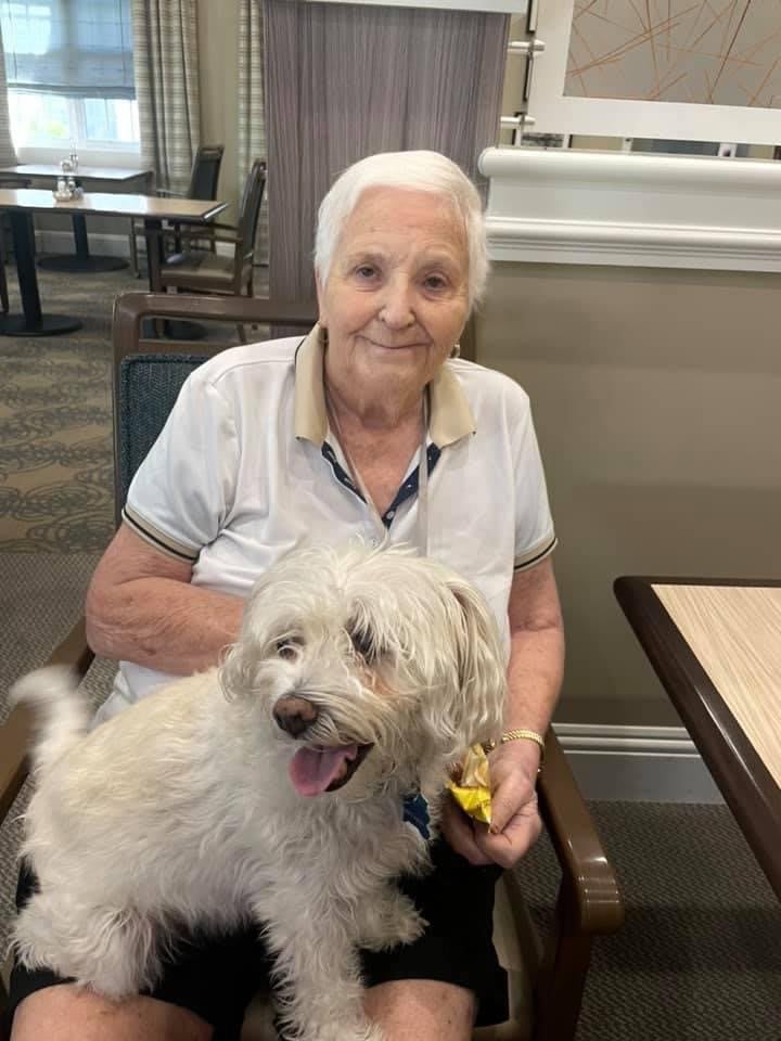 An elderly woman smiling with her fluffy dog on her lap indoors.