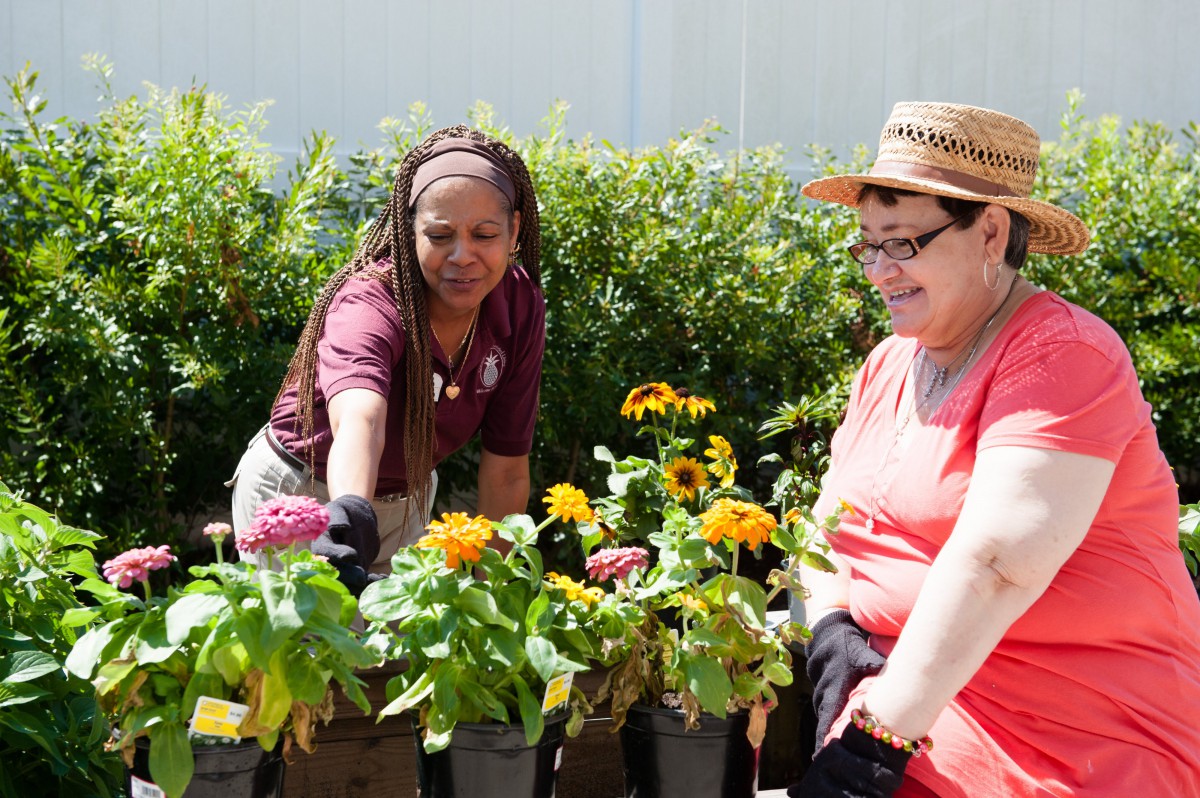 Two people engaged in gardening, tending to a variety of flowering plants outdoors.