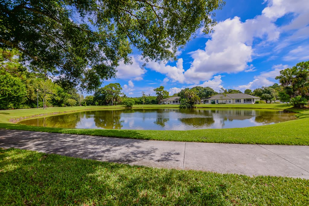 A serene park scene with a pond, surrounded by lush greenery and under a bright blue sky.