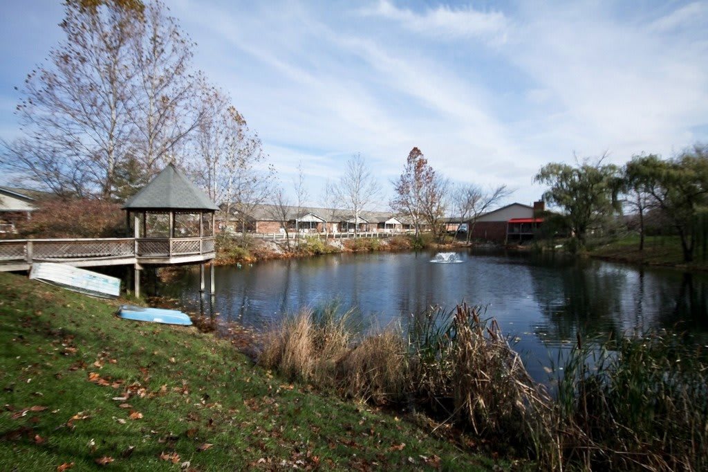 A peaceful pond surrounded by trees and a gazebo on a clear autumn day.