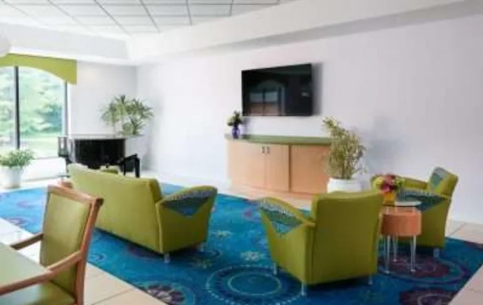 A modern living room with green sofas, a large television, and decorative plants.