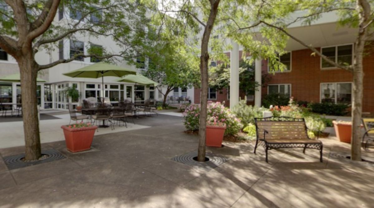 A serene courtyard featuring benches, trees, and potted plants under dappled sunlight.