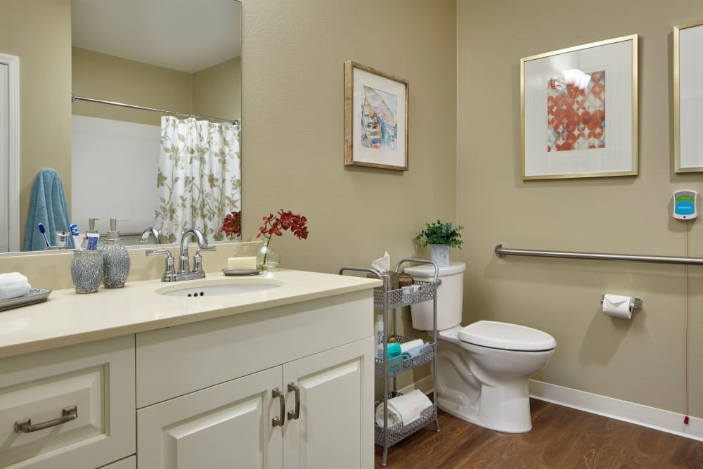 A well-organized bathroom featuring a vanity with a sink, a toilet accompanied by a towel rack, and decorative elements like framed artwork and a small plant.