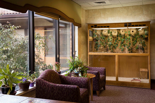 A cozy waiting area featuring comfortable chairs and natural light filtering through large windows, adorned with plants for a refreshing ambiance.