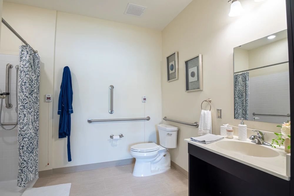 An accessible bathroom featuring grab bars and modern decor.