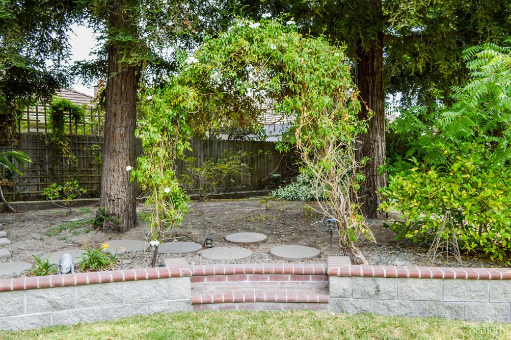 A garden archway covered with greenery, set between two trees.