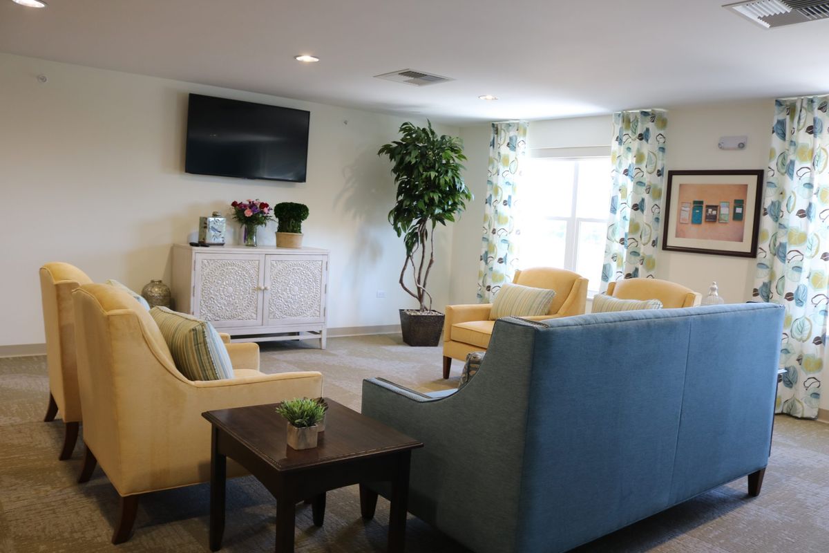 A cozy living room with bright furnishings and decorative plants.