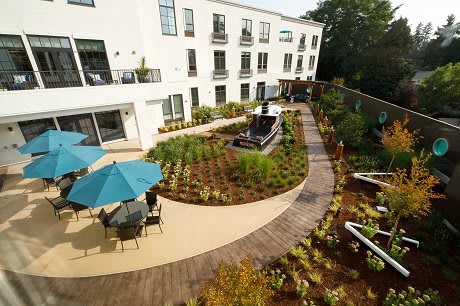 A beautifully landscaped garden with a winding pathway and outdoor seating adjacent to a modern building.