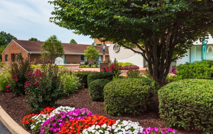 A beautifully landscaped garden featuring colorful flowers, neatly trimmed shrubs, and trees enhancing the outdoor scenery.