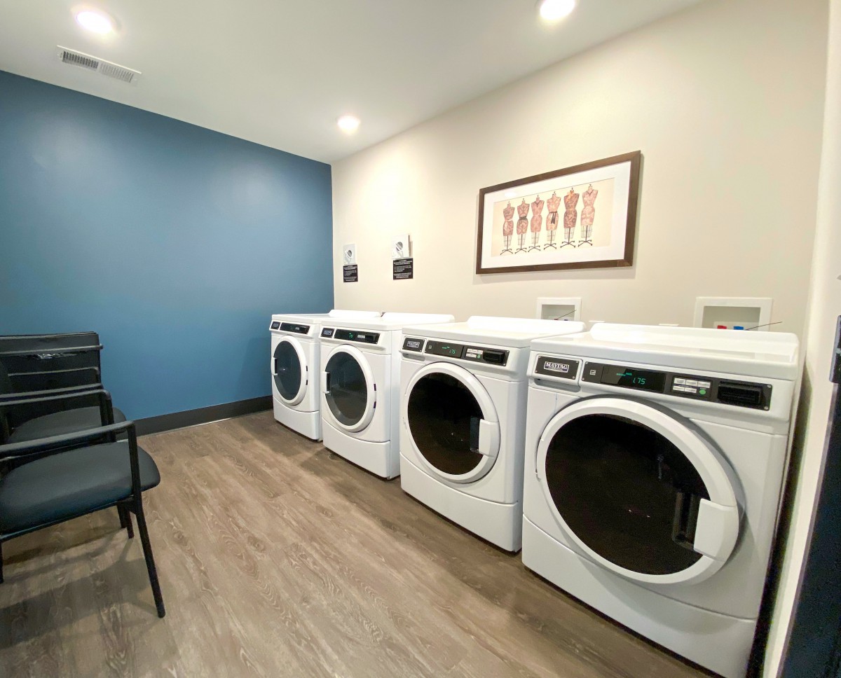 A modern laundry room with a row of white washing machines and dryers against a blue accent wall.