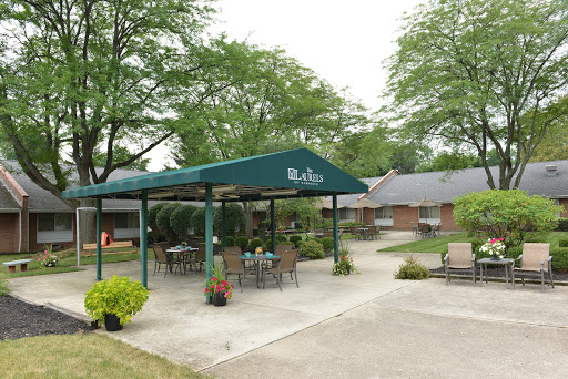 A serene outdoor seating area with a green canopy, perfect for relaxation amidst nature.