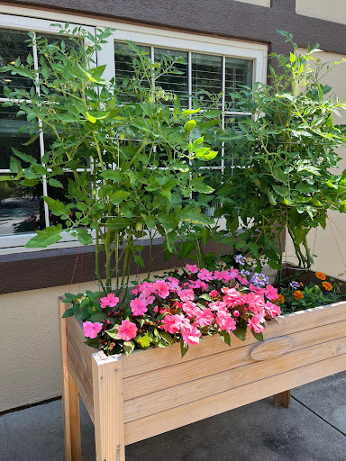 A vibrant garden planter filled with blooming flowers and lush green plants.