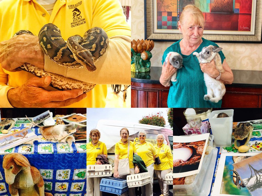 A collage featuring different animals and volunteers at an exhibition.
