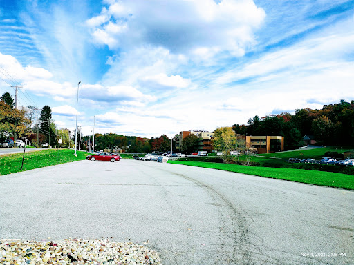 A serene view of a parking lot surrounded by lush greenery and a bright, cloudy sky.