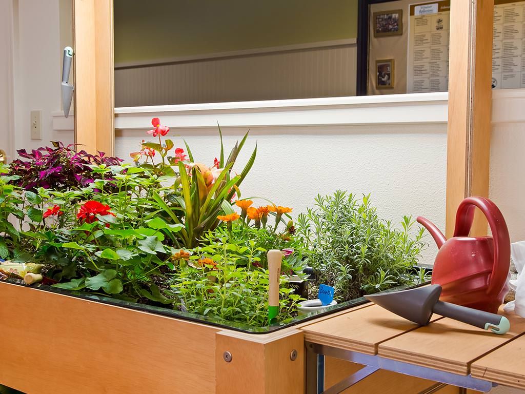 An indoor garden with various plants growing in a wooden planter, accompanied by a watering can.