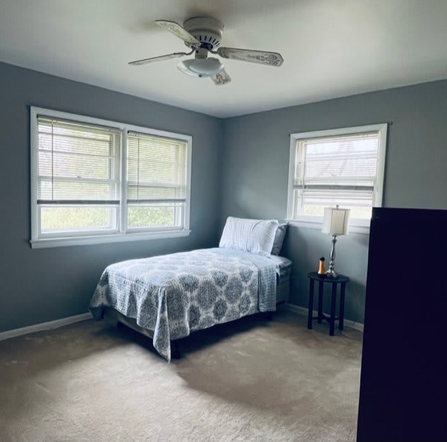 A minimalist bedroom with a single bed, featuring blue walls and large windows.
