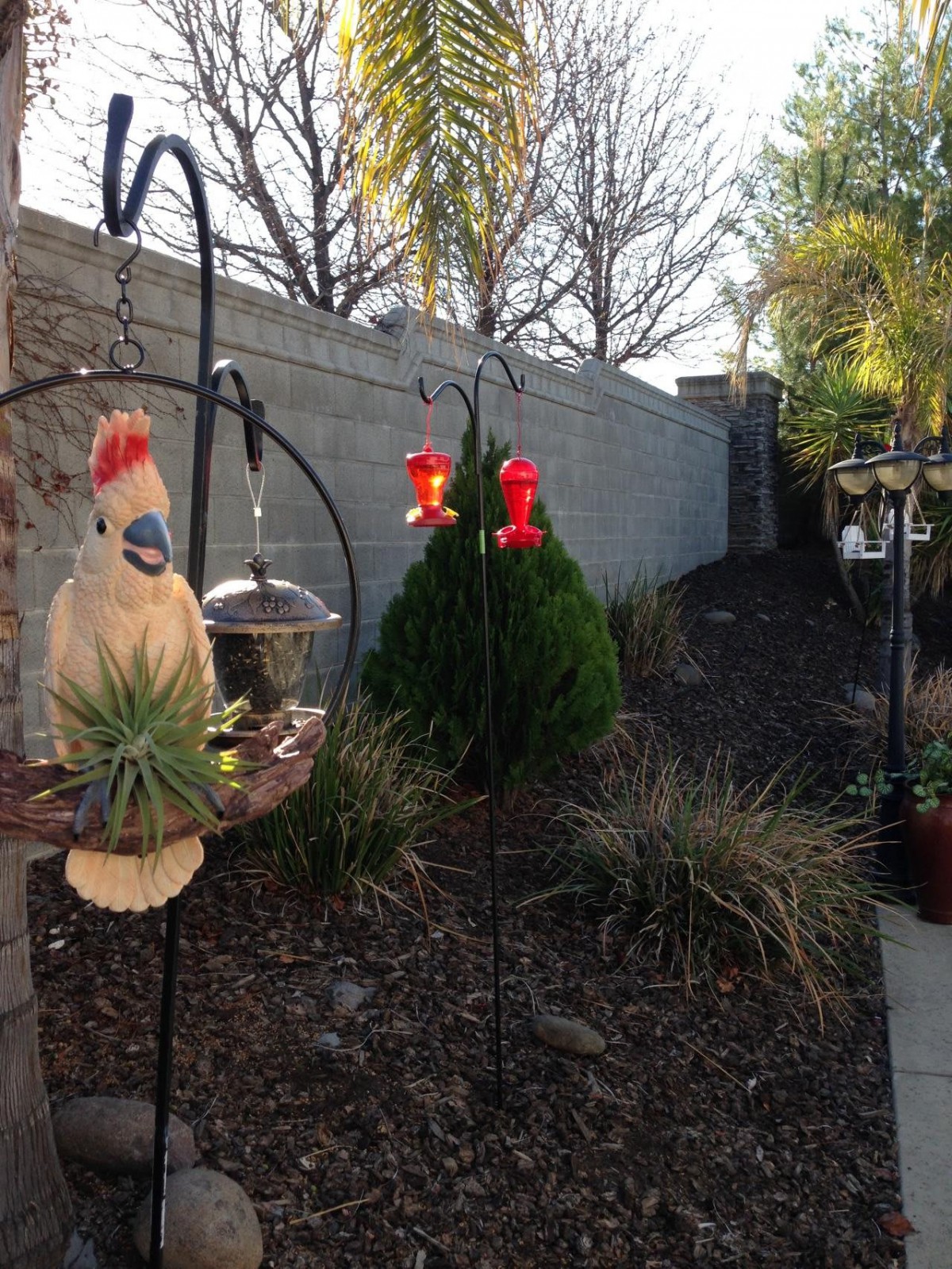 A tranquil garden scene featuring decorative and hummingbird feeders among plants.
