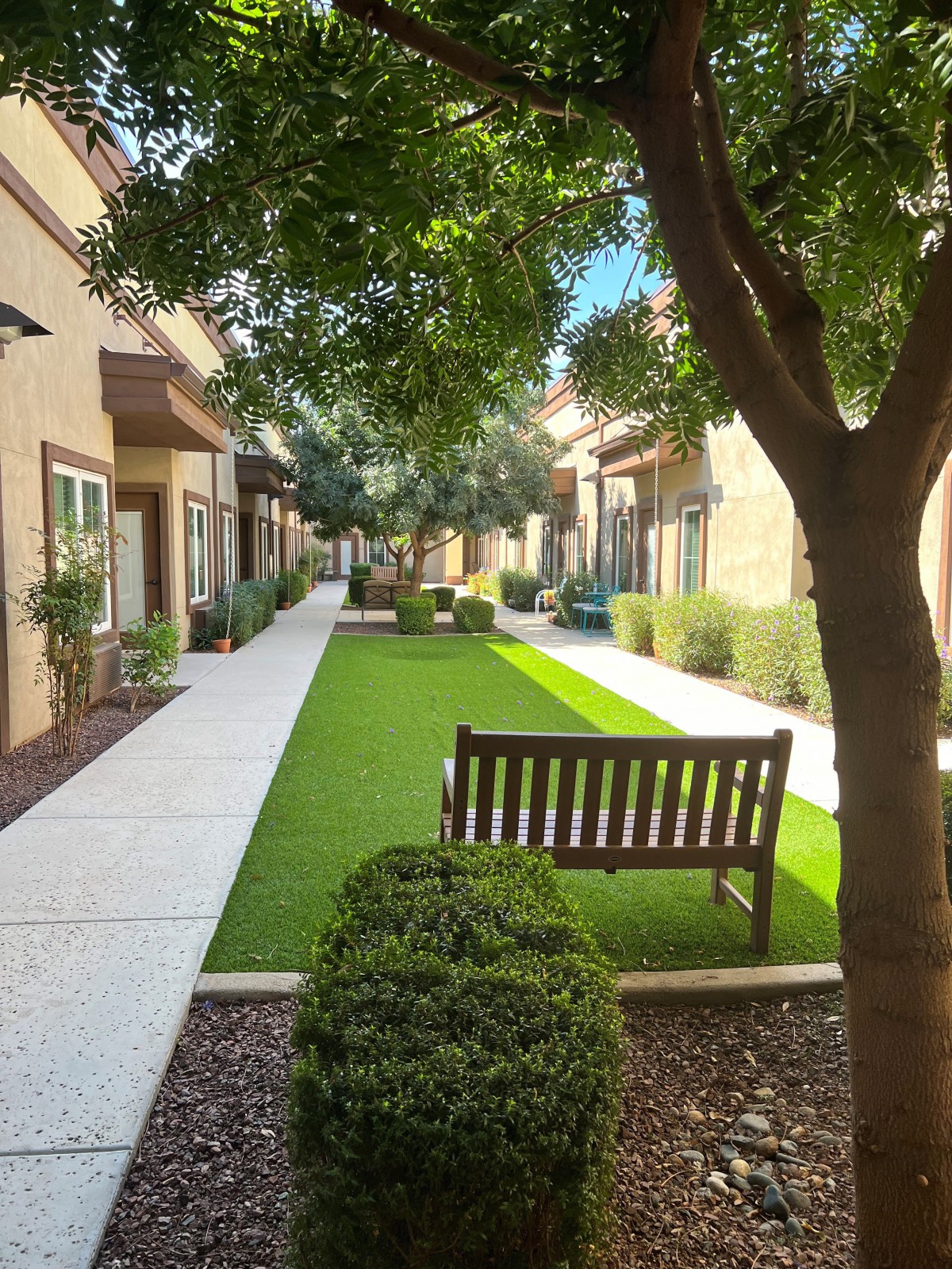 A peaceful courtyard lined with trees and benches, flanked by buildings.
