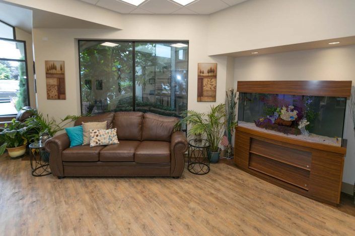 A cozy waiting room with a leather sofa, vibrant fish tank, and lush indoor plants.