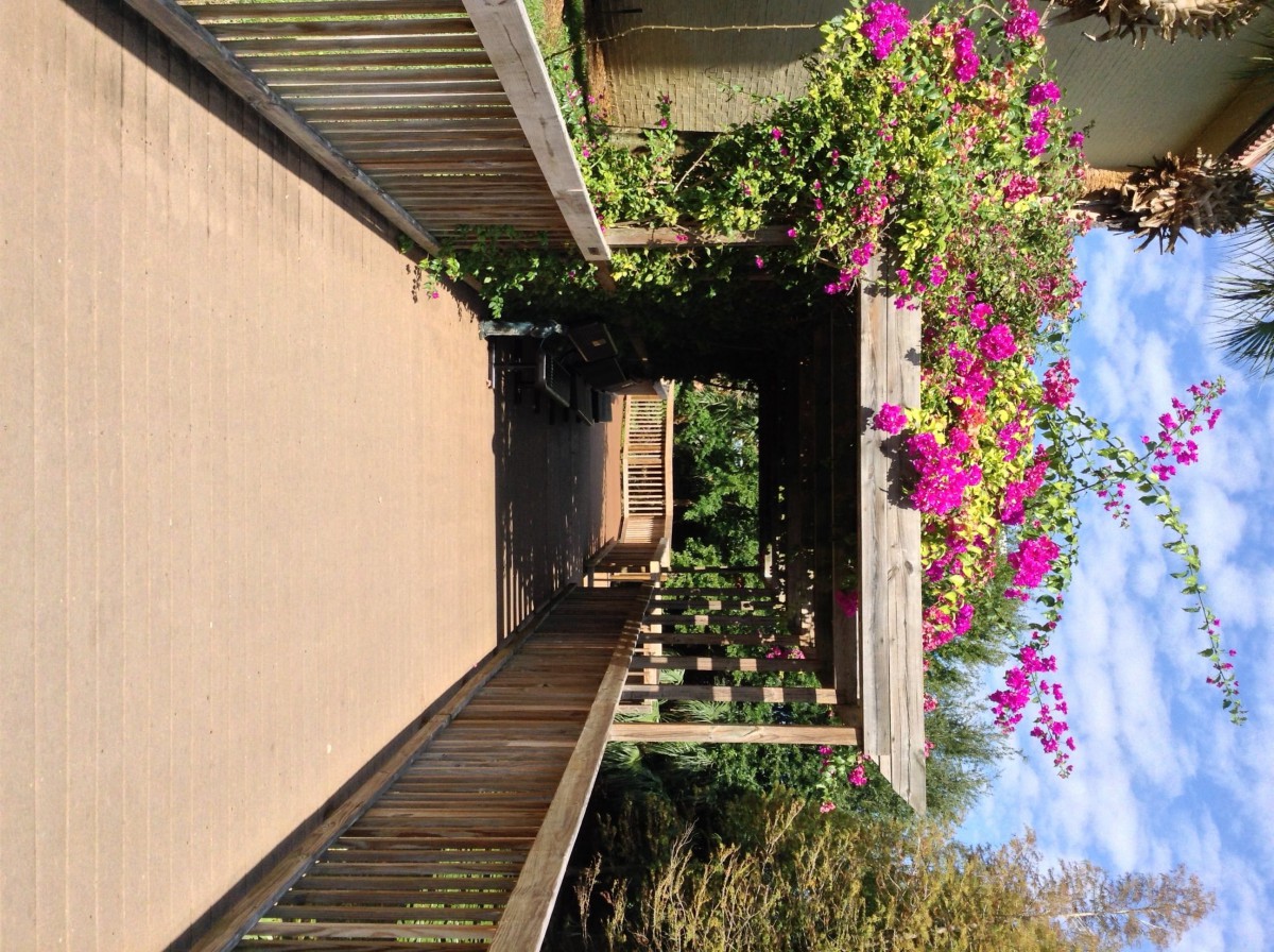 A wooden bridge leading to a pergola adorned with vibrant flowers.