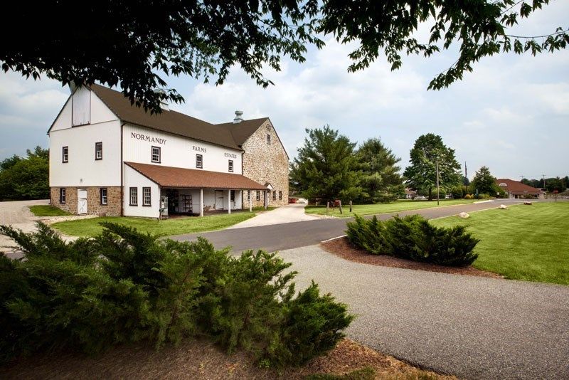 A scenic view of a farmhouse surrounded by trees with a winding driveway.