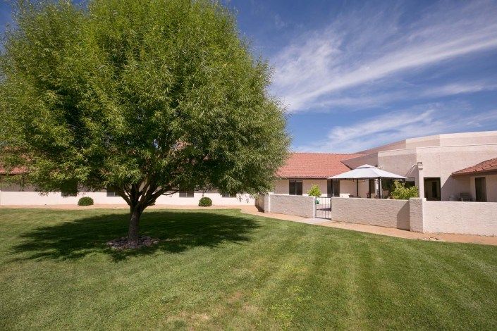 A well-maintained yard with a tree, house, and clear blue sky.