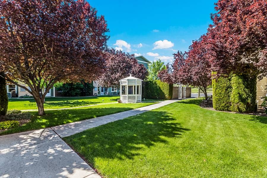 A scenic garden featuring a gazebo surrounded by lush grass and vibrant trees on a sunny day.