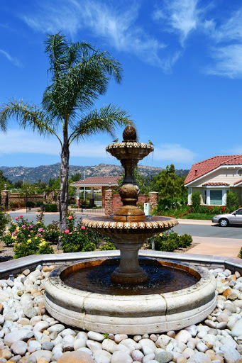 A beautiful garden fountain surrounded by palm trees and a picturesque residential neighborhood.
