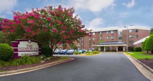 A hotel building with a flowering tree and a parking lot in the foreground.