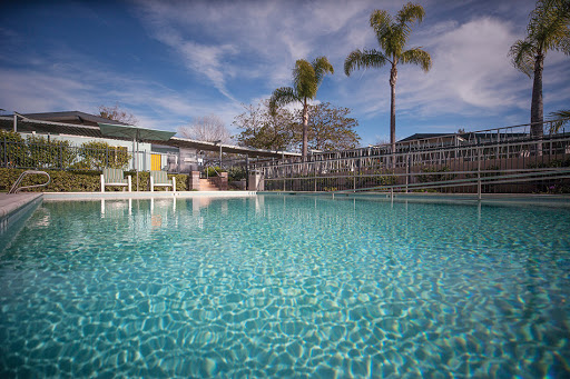Wesley Palms