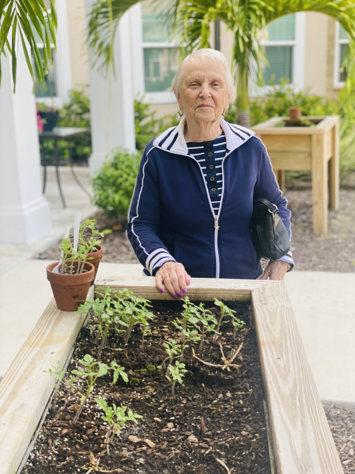An elderly person standing by a raised garden bed with plants.