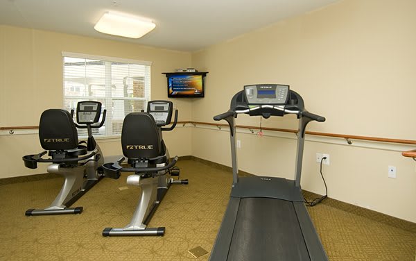 A small indoor gym featuring a treadmill and exercise bikes.